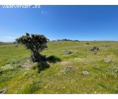 Terreno rural en Venta en Garrovillas de Alconetar, Cáceres
