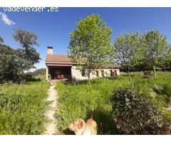 Magnifico Chalet con piscina ven el Monte del Casar