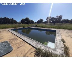Magnifico Chalet con piscina ven el Monte del Casar