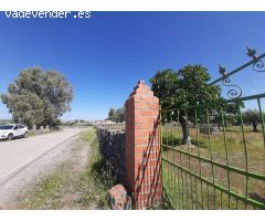 Terreno urbano en Albalá