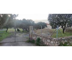 Gran chalet en parcela de 14000 m2!!