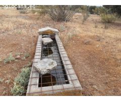 Finca 4´5 hect con agua en Botija