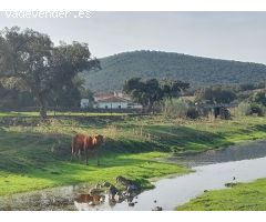 Impresionante finca - cortijo