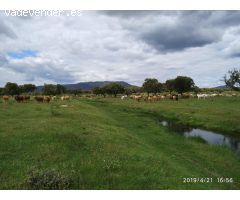 Impresionante finca - cortijo