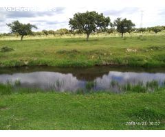 Impresionante finca - cortijo