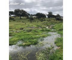 Impresionante finca - cortijo