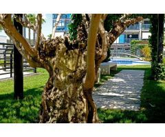 ALQUILER PISO EN URBANIZACIÓN COMPLETA EN SANTA POLA (SOLO TEMPORAL)
