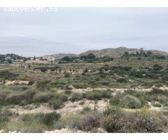 Terreno para cultivo (carretera de Aspe)