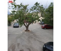 Se alquila casa de campo con parcela compartida