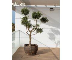 Atico en Venta en Estepona, Málaga