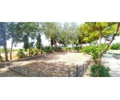 Finca en venta en Crevillente – Parcela de 8.700 m² y vivienda de 267 m²