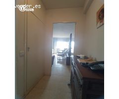 GESPAIN ALUCHE-CAMPAMENTO OFRECE EN EXCLUSIVA