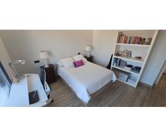 CHALET MODERNO CON PARCELA