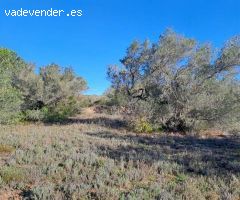 Finca rustica en Venta en Tortosa, Tarragona
