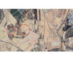 Finca rustica en Venta en Jumilla, Murcia