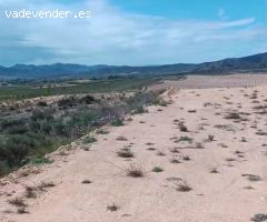 Finca rustica en Venta en Jumilla, Murcia