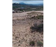 Finca rustica en Venta en Jumilla, Murcia