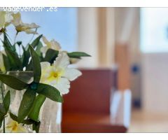 Estudio con un dormitorio moderno en Torrevieja