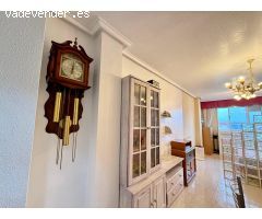 Estudio con un dormitorio moderno en Torrevieja