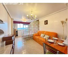 Estudio con un dormitorio moderno en Torrevieja