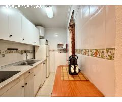 Estudio con un dormitorio moderno en Torrevieja