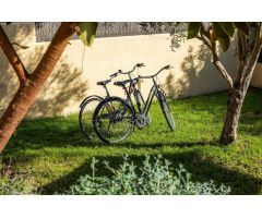 Chalet en Alquiler en Son Servera, Illes Balears