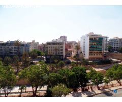 Estupenda vivienda en centro-raval, Elche