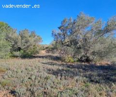 Finca rustica en Venta en Tortosa, Tarragona