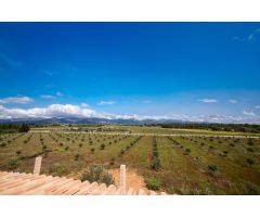 Arquitectura contemporánea en enclave rural con vistas a la Serra de Tramuntana