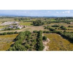 Tres parcelas rústicas en venta en Ariany, Mallorca – 28.000 m² con buena accesibilidad y elevación