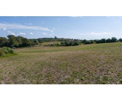 Tres parcelas rústicas en venta en Ariany, Mallorca – 28.000 m² con buena accesibilidad y elevación