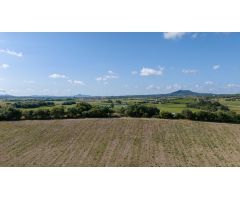 Tres parcelas rústicas en venta en Ariany, Mallorca – 28.000 m² con buena accesibilidad y elevación