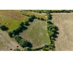 Tres parcelas rústicas en venta en Ariany, Mallorca – 28.000 m² con buena accesibilidad y elevación