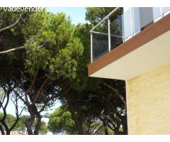 Hotel en Venta en Chiclana de la Frontera, Cádiz