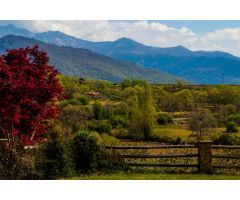 Finca rustica en Venta en Jarandilla de la Vera, Cáceres