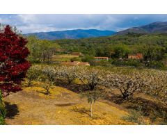 Finca rustica en Venta en Jarandilla de la Vera, Cáceres