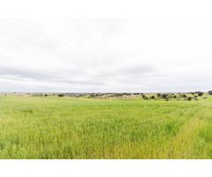 Terreno rural en Venta en Méntrida, Toledo