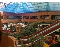 Se alquila local en centro comercial Monte Claro de Pozuelo