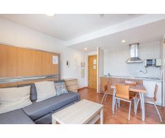 Apartamento con plaza de garaje en Edificio Gorbea. ???? Alta rentabilidad en Sierra Nevada