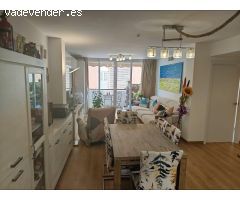 ???? Vive el encanto del Mediterráneo en el Paseo Marítimo de Palma de Mallorca ?????
