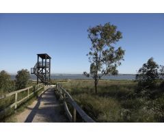 Nueva Promoción Residencial en San Miguel de Salinas