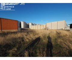 ¡OPORTUNIDAD ÚNICA! SOLAR EN VENTA EN TOMELLOSO – ZONA CALLE CAMPO / CALLE NORTE