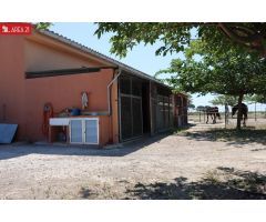 CAMPO CON NAVE IDEAL PARA  LOS AMANTES DE LOS CABALLOS