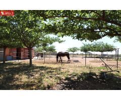 CAMPO CON NAVE IDEAL PARA  LOS AMANTES DE LOS CABALLOS