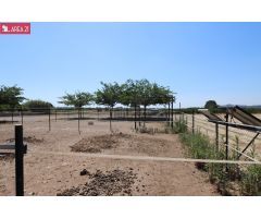 CAMPO CON NAVE IDEAL PARA  LOS AMANTES DE LOS CABALLOS