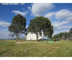 Finca en Campanario Badajoz