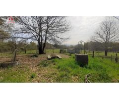 FINCA RÚSTICA DE 6.000 M2 CON GALPÓN Y POZO EN COLES (OURENSE)