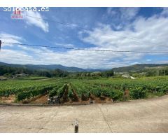 SE VENDE FINCA URBANIZABLE EN LA ZONA DE LAIAS