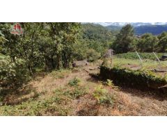 FINCA RUSTICA CON GALPON EN LA ZONA DE CASTRO DE BEIRO (AMOEIRO)