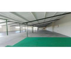 Nave industrial en venta en lugar Paraje la Caraza